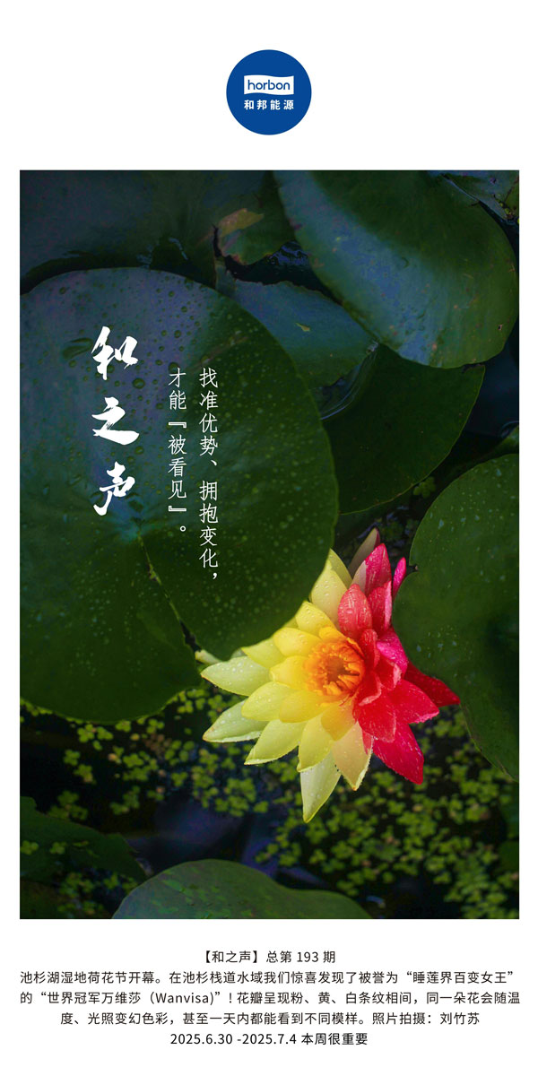 【和之声】找准优势、拥抱转变，，，，，，才华“被望见”。。。。。(总第193期）--2025.6中文导出季度推送用.jpg