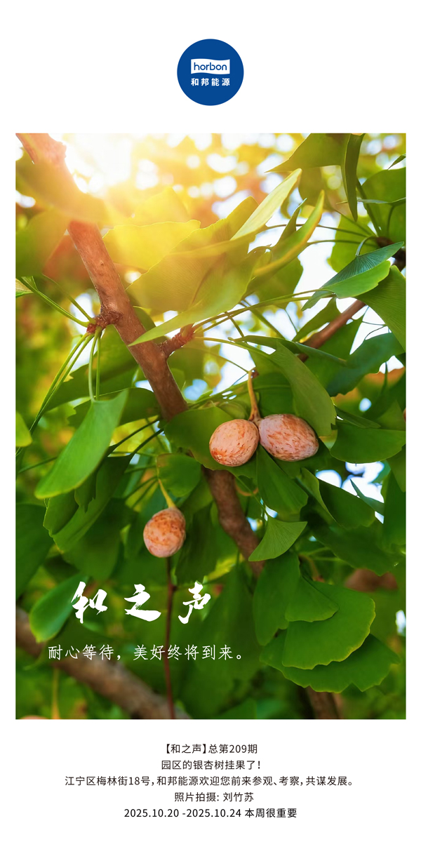【和之声】耐心期待，，，，，，优美终将到来。。。。-(总第209期）2025.10.20中文导出季度推送用.jpg